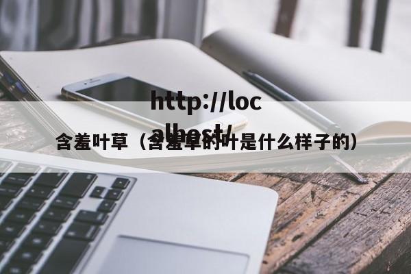 含羞叶草（含羞草的叶是什么样子的）